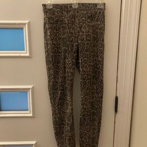 Spanx pants snake print